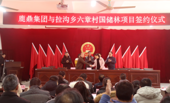 WG电子林业集团与拉沟乡就国储林项目首单签约