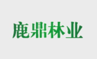 广西WG电子林业集团提议人初次筹备会议在我场召开