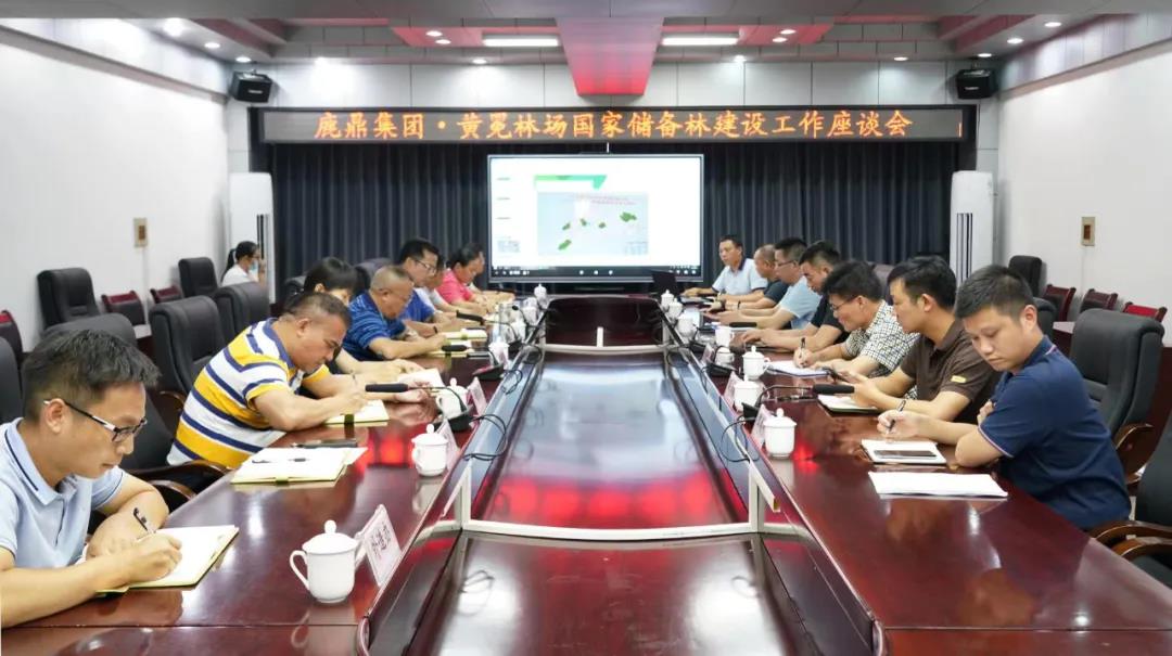 WG电子林业集团与黄冕林场座谈互换国储林建设工作