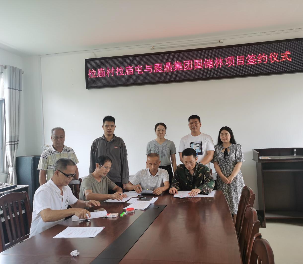 鹿丰公司与鹿寨县寨沙镇拉庙村拉庙屯集体签定合同