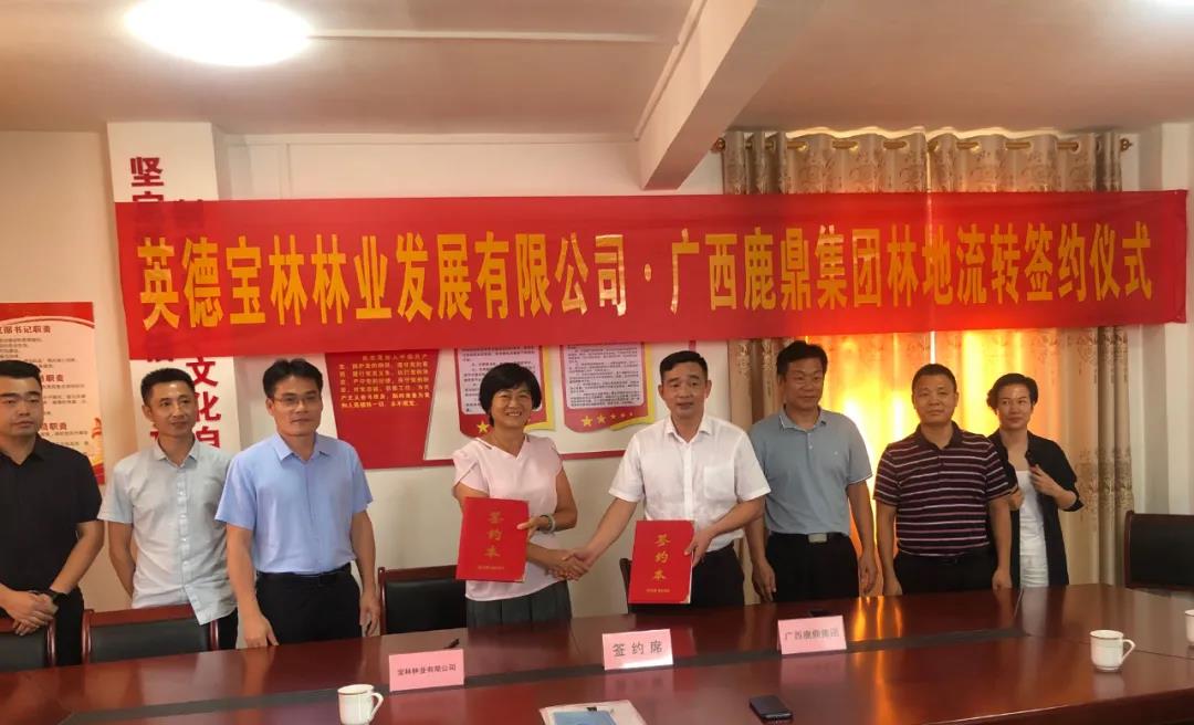 WG电子集团与宝林公司签定9100亩林地林木流转和谈