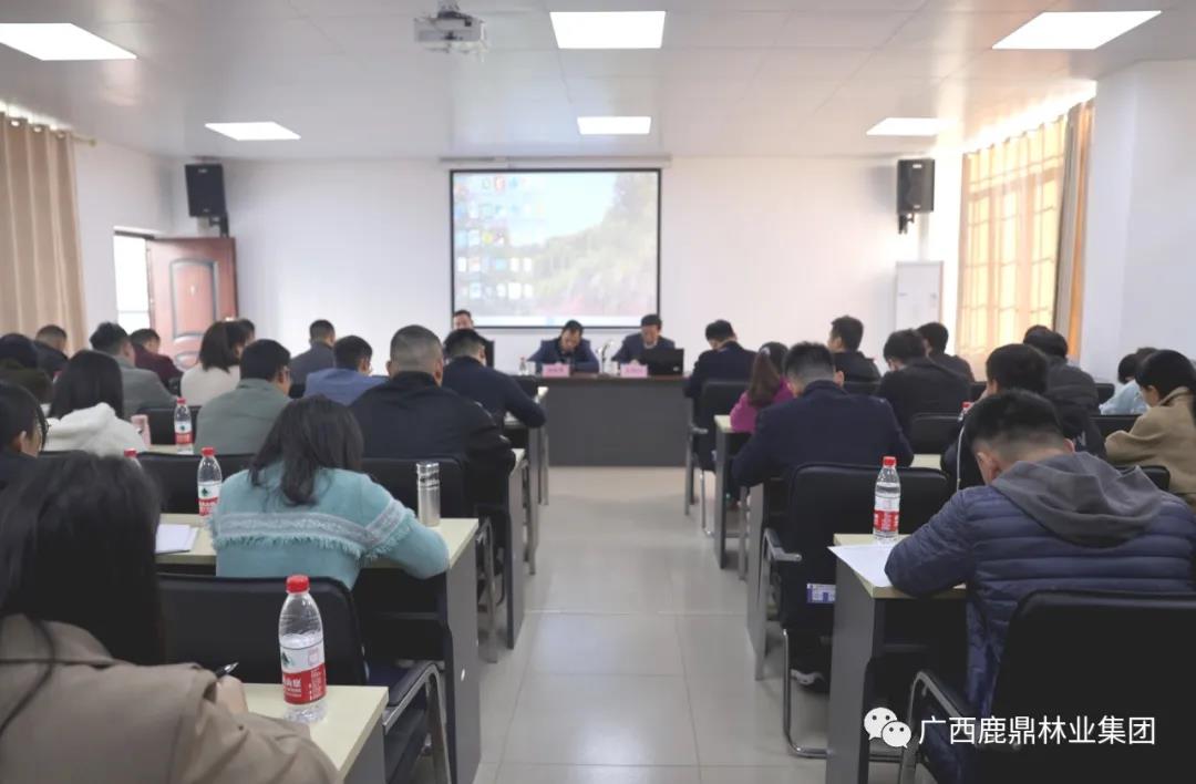WG电子集团召开营林出产调查知识培训会