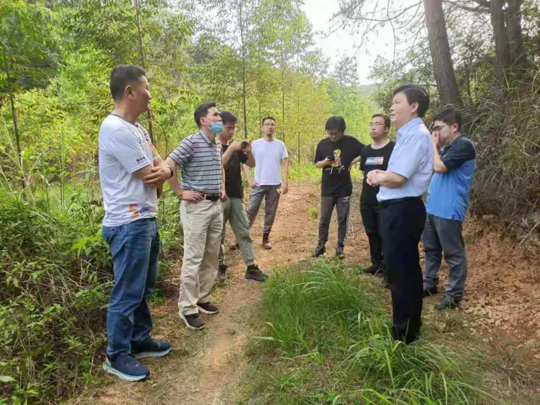 北京林业大学专家团队到鹿寨县领导国储林建设现场推动会工作1.jpg