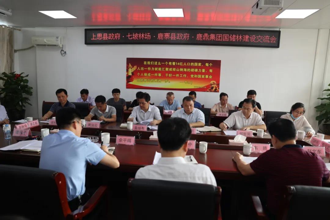 上思县当局、七坡林场到WG电子集团互换国储林项目建设工作1.jpg