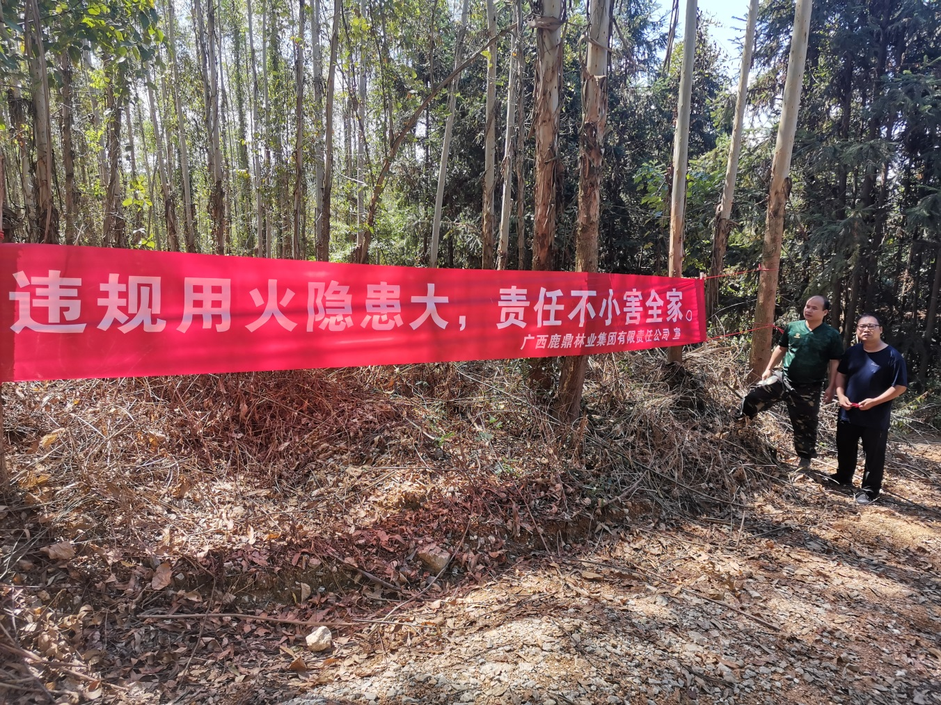 WG电子(中国区) - 官方网站