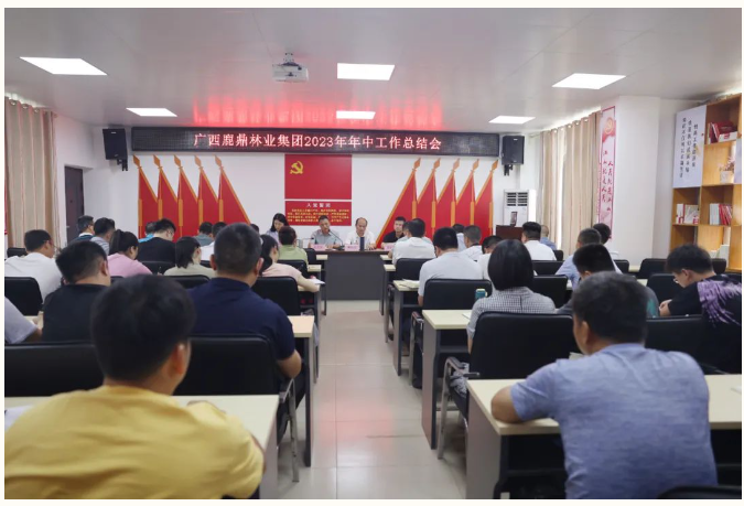 广西WG电子林业集团召开2023年年中工作总结会