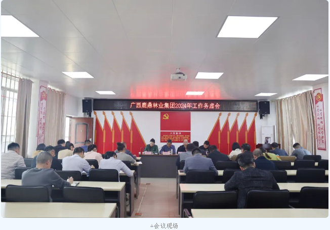 务虚求实明方向，，，铆足劲头谱新篇