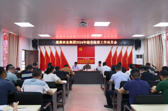 WG电子林业集团召开2024年综合查抄工作带头会