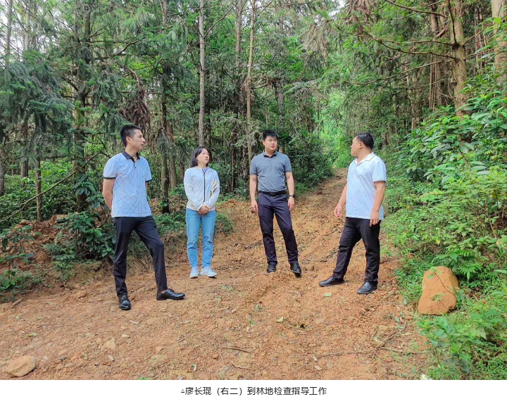 20240726181414465 WG电子(中国区) - 官方网站