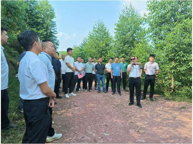 韦宏一行到大桂山林场调查学习