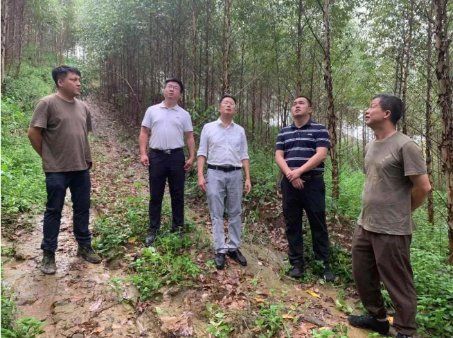 肖崇福到鹿晟公司查抄领导工作