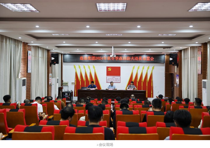 20240911183038182 WG电子(中国区) - 官方网站