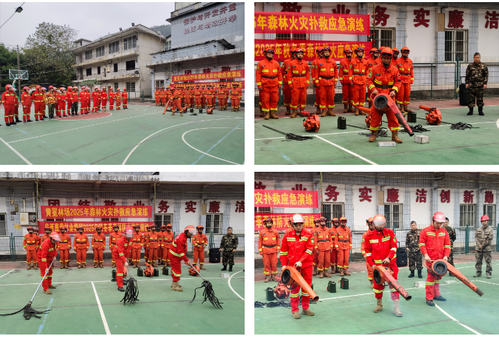 20251212093206619 WG电子(中国区) - 官方网站