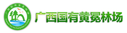 link1 WG电子(中国区) - 官方网站